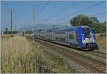 The SNCF Z 24633 on the way from Valence to Geneve by by Bourdigny.