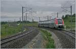 The SNCF TER 895052 is on the way to Belfort by Meroux.

28.05.2019