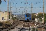 The Transdev Z 55201, operating as a TER train from Marseille to Nice, arrives at Saint Raphael station. Transdev took over this service from SNCF. It is the first  privatised  route in France. September 17, 2026