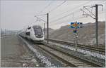 The TGV 9880 from Luxemburg to Montpellier is arriving at the Belfort-Montbelier TGV Station.