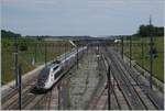 The TGV 9582 from Marseille to Frankfurt is arriving at the Belfort Montbeliard TGV station.