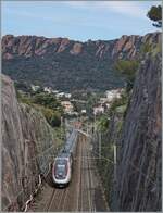 The SNCF TGV Duplex Rame 239 and 856 are by Agay on the way to Nice. 

24.03.2025