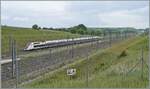 The TGV trainset 4725 is operating as TGV inoui 9898 on the journey from Montpellier Saint-Roch to Luxembourg and has just passed the Belfort-Montbéliard TGV station.