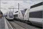 In Annemasse staan SNCF TGV-treinstel 292 (bestemd voor Évian-les-Bains) en SNCF TGV-treinstel 716 (bestemd voor St-Gervais-les-Bains-Le Fayet) op perron B.  
En op perron A wacht het SNCF TGV-treinstel 711, aangekomen als TGV inoui 6482, vanuit St-Gervais-les-Bains-Le Fayet. Hier keert de TGV om en wordt gekoppeld aan TGV inoui 6504, die vanuit Évian-les-Bains is aangekomen. De twee TGV-treinen zullen vervolgens samen hun reis voortzetten naar Paris Gare de Lyon.  
naar St-Gervais-les-Bains-Le Fayet.  

21 februari 2026  

21 februari 2026