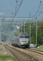 TGV from Paris to Ginevra near Vernier-Merin.