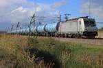 On 8 October 2026 Akiem/RFO 186 003 -formerly owned by NS Reizigers before their sale-and-lease-back construction with Akiem of France-  hauls a completely blue tank train towards Emmerich through Valburg on the Betuweroute freight artery.