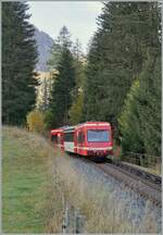 The SNCF Z 850 055 is the TER 18914 from Vallorcine to St-Gervais-Les Bains-le-Fayet; here near Vallorcine in the shadow glen.