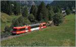 The SNCF Z 850 051 on the way to Les Houches by Vallorcine.