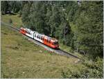 The TMR BDeh 4/8 21 is the SNCF TER from St-Gervais to Vallorcine and here just after Le Buet. 

01.08.2022