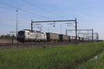 On the morning of 30 April 2025 TX LOg 193 596 'NATURTALENT' hauls an oil train through Valburg.