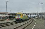 The  Bodo  20-013 in Lindau with an Alex to München.