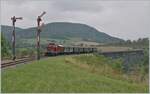 The 211 041-9 (92 80 1211 041-9 D-NeSA) with his morning train to Weizen by Epfenhofen. 

27.08.2022