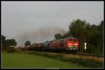 A Freight train with 217 011 near Alttting.