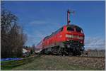 The DB V 218 409-1 wiht a RE to Lindau by Nonnenhorn.

16.03.2019