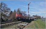 The DB 218 409-1 with a RE to Aulendorf by Nonnenhorn.

16.03.2019