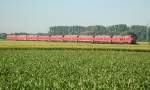 Train of 218 locomotives with nos.: 214, 153, 201, 202, 203, 205, 219, 223 and 224 between Altenstadt and Illertissen, June 14th, 2009.