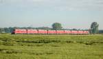 Train of 218 locomotives with nos.: 214, 153, 201, 202, 203, 205, 219, 223 and 224 between Altenstadt and Illertissen, June 14th, 2009.