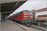 At the end of the trip to Singen, there was something (nowadays) quite special - the DB 218 429-9: The DB 218 429-9 with its RE 3 3057 from Basel Bad Bf to Friedrichshafen-Hafen during the stop in Singen (Htw). Usually, DB 245 are used on this route, so the beautiful DB 218 offers a pleasant change, especially since the elegant locomotive, which used to be seen everywhere, is now quite rare to encounter.

March 15, 2025