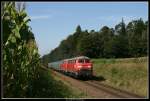 225 030 in Tssling, 9th september 2009.