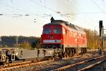 232 527-2 at Beimerstetten, Oct. 12th, 2010.
