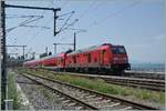 The DB 245 037 with a RE in the Lindau Insel Station. 

14.08.2021 