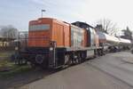 Bocholter Eisenbahn 295 057 shunts at Emmerich on Thursday 9 February 2023.