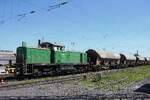 On 30 April 2026 BrohltalBahn 295 049 shunts an empty lime stone train from Andernach at Neuwied to a nearby quarry. 