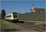 The DB VT 612 053 and an other one on the way to Aulendorf by Birnau.

20.03.2019