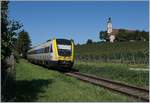 The DB 612 107 and an other one on the way to Basel Bad. Bf. by Birnau. 

19.09.2019