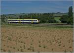 A DB VT 612 on the way to Schaffhausen between Wilchingen-Hallau and Neunkirch.