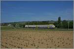 A DB VT 612 on the way to Schaffhausen between Wilchingen Hallau and Neunkirch.