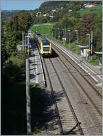 The DB 612 109 and an other one on the way from Basel Bad Bf to Friedrichshafen Hafen by Bietingen. 

19.09.2022