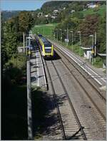 The DB 612 109 and an other one on the way from Basel Bad Bf to Friedrichshafen Hafen by Bietingen. 

19.09.2022