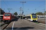 The DB 146 214-2 with is RE to Karlsruhe and the VT 622 463 to Friedrichshafen are waiting his departur time in Radolfzell. 

21.09.2019