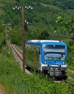 . Rhenus Veniro Stadler Regio-Shuttle RS1 650 351 is running through the wineyards in Reil on its way from Traben-Trarbach to Bullay on May 15th, 2015