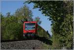 Two DB VT 650 on the way to Radolfzell by Nussdorf.