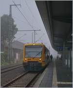 The ODEG VT 650 92 in Schwerin.