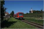 The DB 650 314 and an other one on the way to Friedrichshafen by Birnau.

19.09.2019