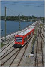 The DB VT 650 116 and 103 in Lindau Insel  . 

14.08.2021