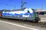 Fin de una era: los días de la Clase 101 arrastrando trenes rápidos por Alemania llegan rápidamente a su fin, por lo que hoy en día capturar una 101 publicitaria es una oportunidad rara. Sin embargo, el 23 de septiembre de 2026, la DB 101 039 estuvo en Nürnberg Hbf, anunciando el parque nacional suizo, aunque un poco alejado de Baviera.