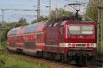 Am 18. September 2026 schiebt die DB Regio 143 250 - restauriert in ihren Originalfarben, jedoch mit DB-Emblem und nicht den DR-Zeichen - eine S-Bahn aus Pirna in Richtung Dresden Hbf.