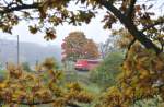 151 028-8 with the semitrailer  Walter  train at Swabian Alb with autumn coloured trees at =ct. 7th, 2010.