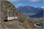 A Crossrail Cargo Train near Lalden.