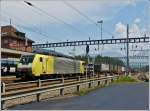 E 189 995 is hauling a goods train through the station Arth-Goldau (CH) on May 24th, 2012.