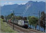 The SBB NOVELIS  Re  189 990-5  Göttingen  (ES 64-F4-90 / UIC 91 80 6189 990-5 D-Dispo Classe 189VE) with his today short Novelis Train on the way from Sierre to Göttingen near Villeneuve on