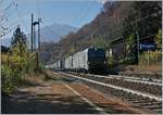 Two 193 run for SBB Cargo International on the way to Brig by his passage in Preglia.