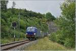 The  Vectron  193 490 and an other one between Läufelfingen and Buckten (Alte Hauenstein Line)  07.08.2018