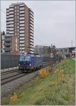 The WRS 193 493 on the way to Biel/Bienne by Grenchen. 

11.11.2020