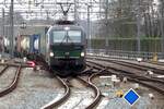 ELL/RTB 193 727 rounds the curvature at Zutphen hauling the PCC intermodal shuttle train on 17 February 2023.