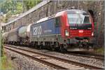 Quite filling the frame: The 193 073 rented by SBB Cargo is shortly after Veytaux Chillon with a freight train on its way towards St-Maurice.

May 19, 202